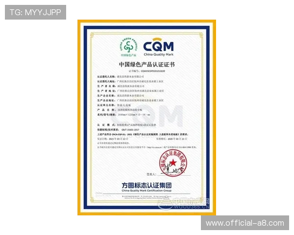 绿色球场认证体系实施:意甲俱乐部可持续发展实践案例